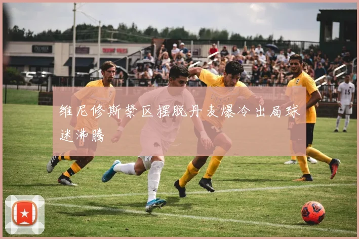 维尼修斯禁区摆脱丹麦爆冷出局球迷沸腾