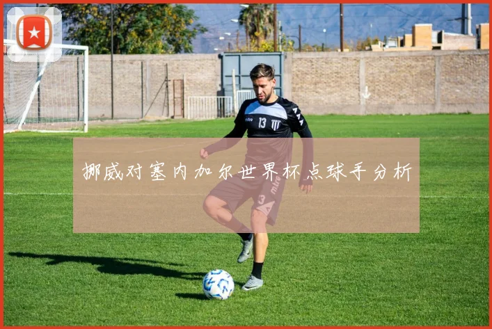 挪威对塞内加尔世界杯点球手分析