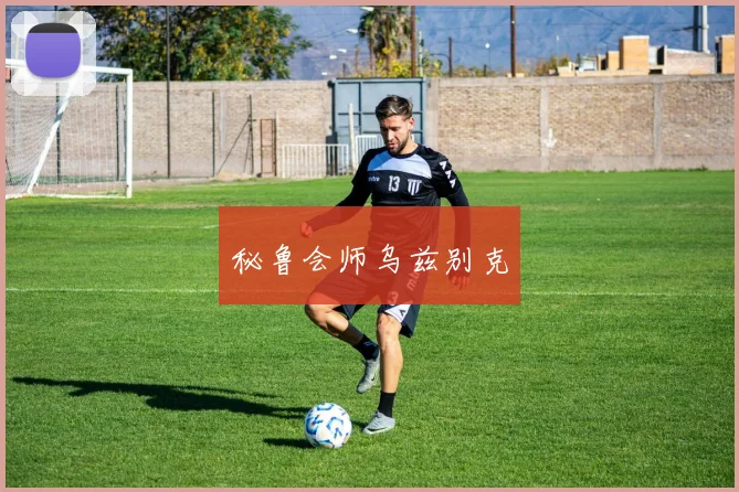 秘鲁会师乌兹别克