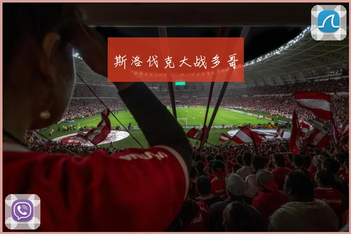 斯洛伐克大战多哥