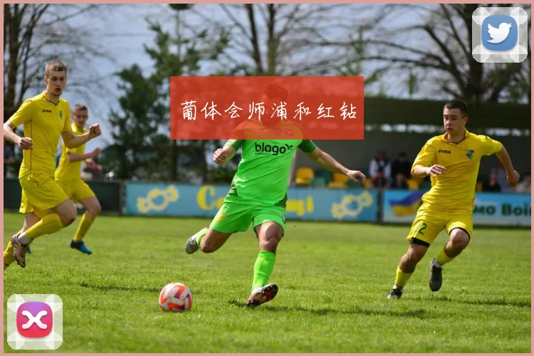 葡体会师浦和红钻