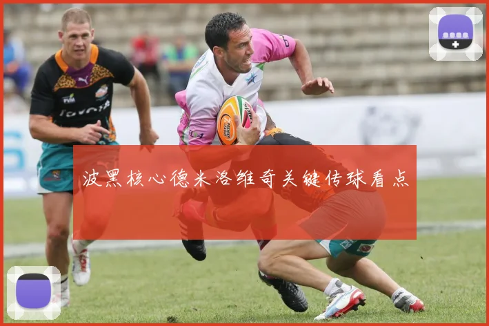 波黑核心德米洛维奇关键传球看点