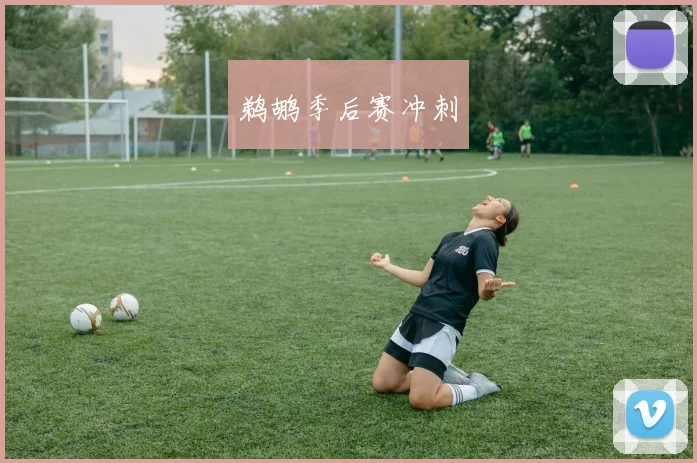 鹈鹕季后赛冲刺