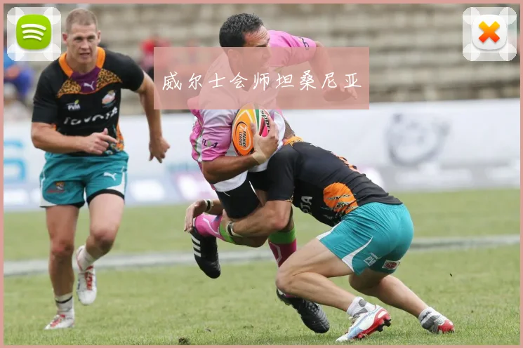 威尔士会师坦桑尼亚