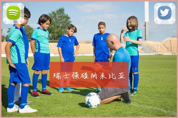 瑞士强碰纳米比亚