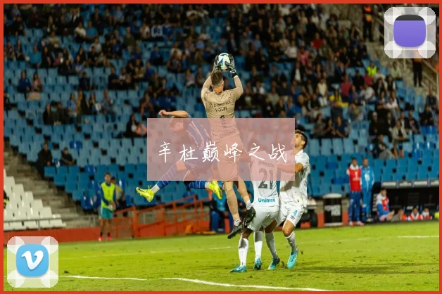 辛杜巅峰之战