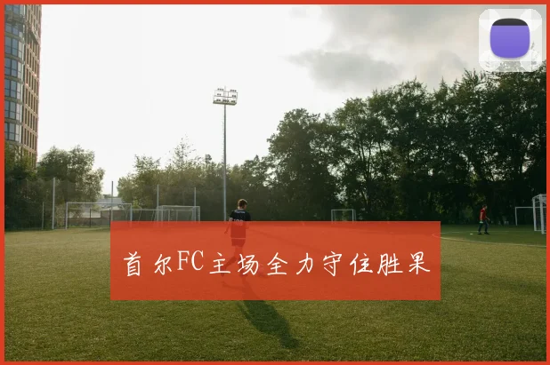 首尔FC主场全力守住胜果