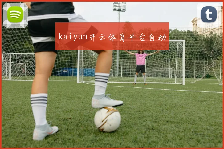 kaiyun开云体育平台自动