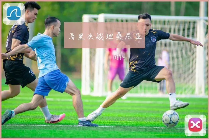 马里决战坦桑尼亚