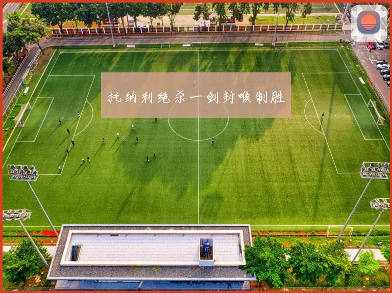托纳利绝杀一剑封喉制胜