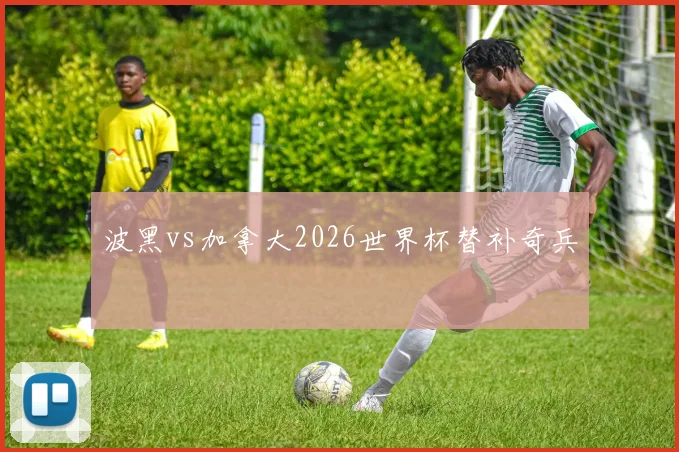 波黑vs加拿大2026世界杯替补奇兵