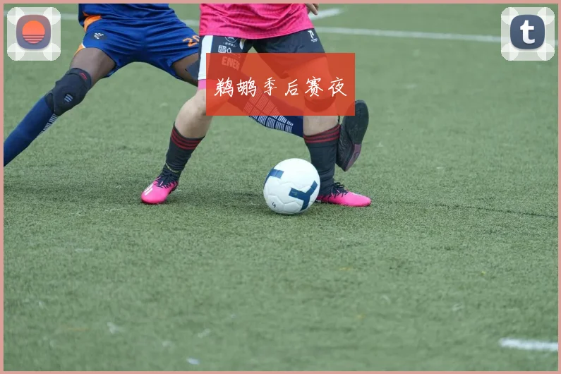 鹈鹕季后赛夜