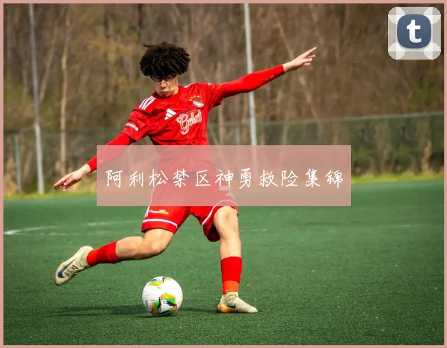 阿利松禁区神勇救险集锦