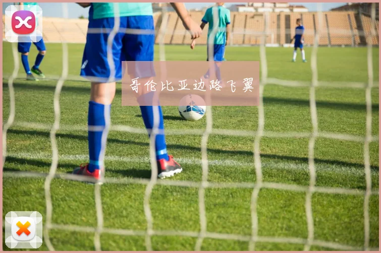 哥伦比亚边路飞翼
