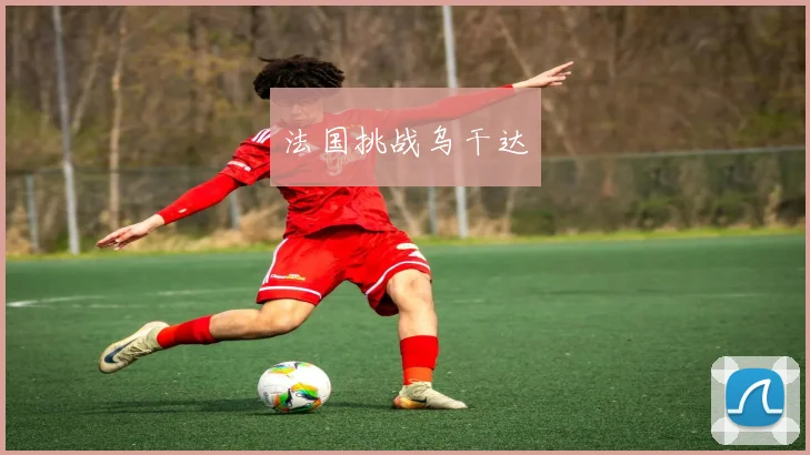 法国挑战乌干达