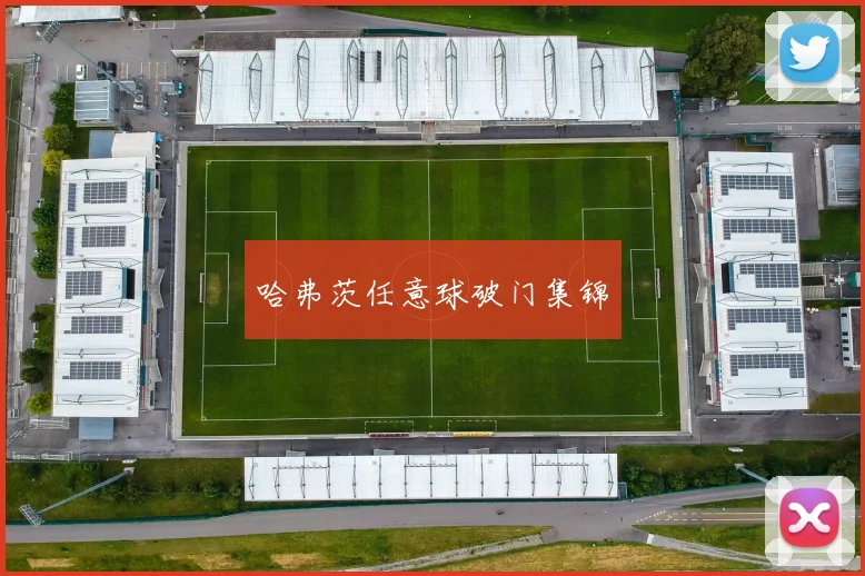 哈弗茨任意球破门集锦