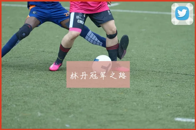 林丹冠军之路