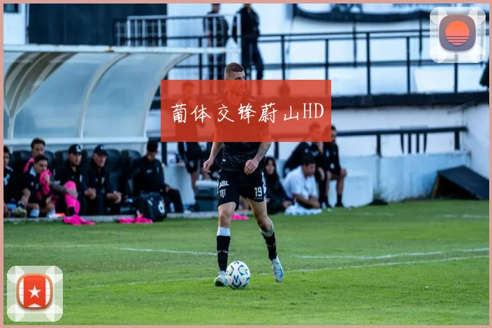 葡体交锋蔚山HD