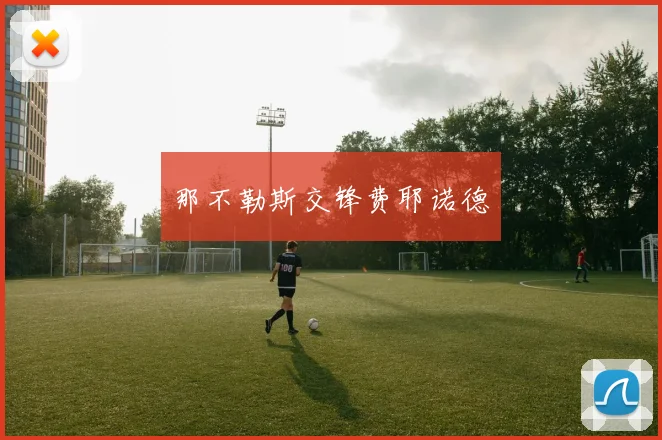 那不勒斯交锋费耶诺德