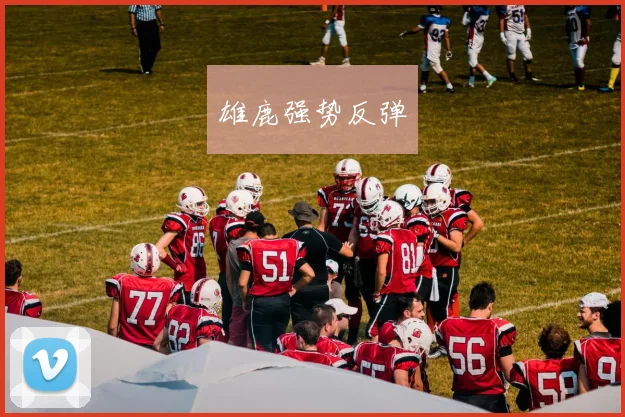 雄鹿强势反弹