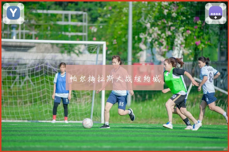 帕尔梅拉斯大战纽约城