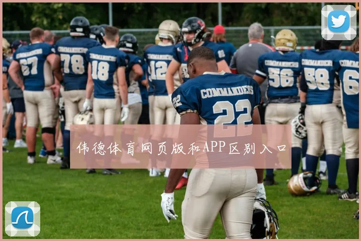 伟德体育网页版和APP区别入口