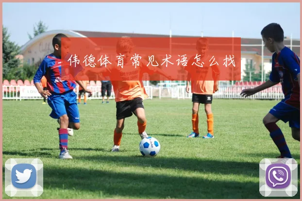 伟德体育常见术语怎么找