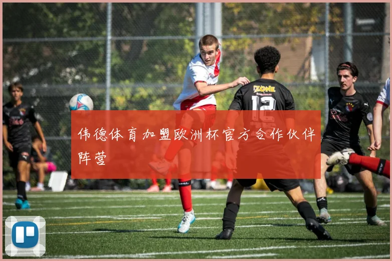伟德体育加盟欧洲杯官方合作伙伴阵营