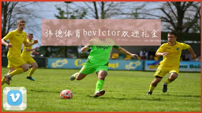伟德体育bevictor欢迎礼金